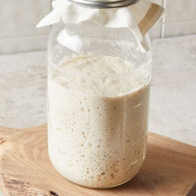 Zuurdesem Spelt Starter